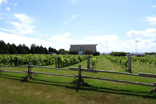 Tour image 1
