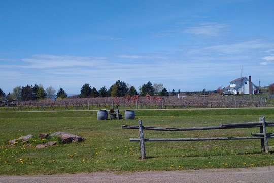 Tour image 3