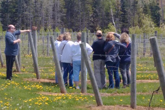Tour image 4