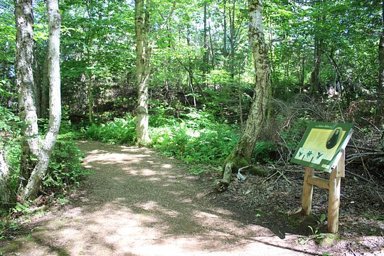 Tour image 5