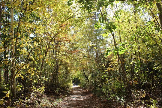 Tour image 6