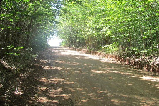 Tour image 6