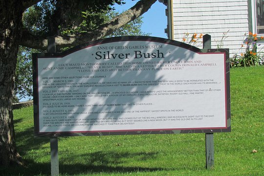Tour image 7