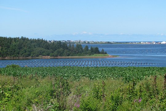 Tour image 8