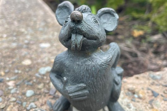 Tour image 11